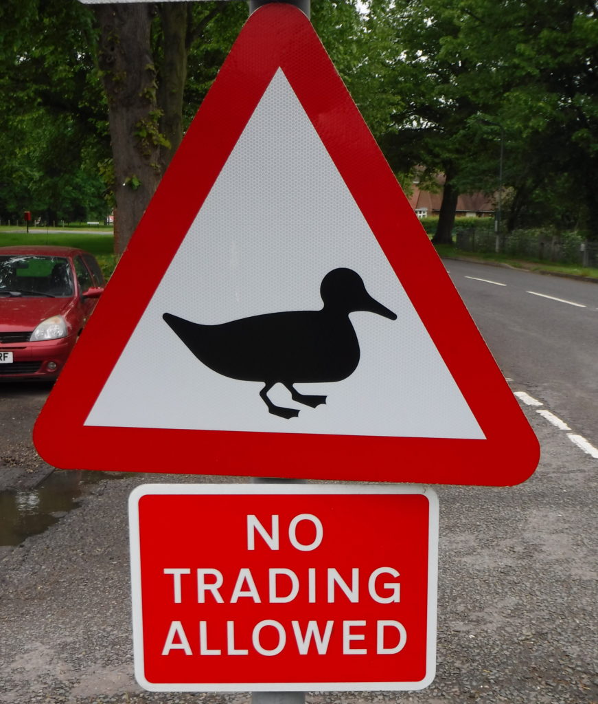 No trading for ducks