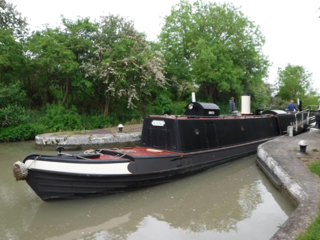 Hasty steam tug