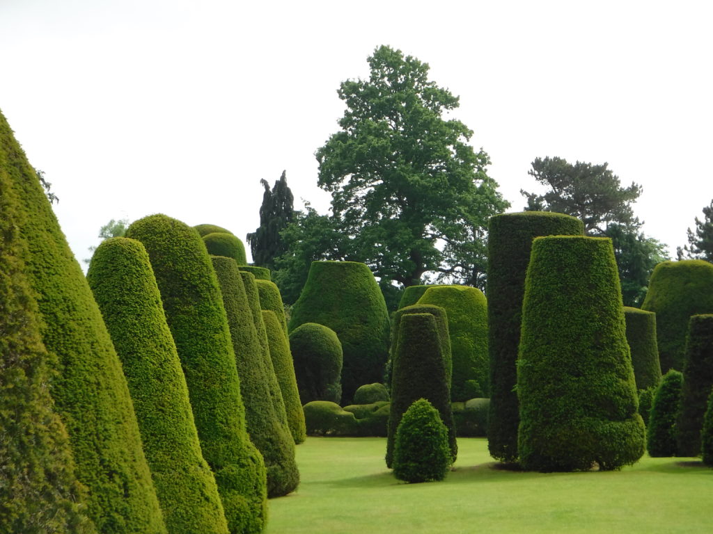 Sinister Topiary
