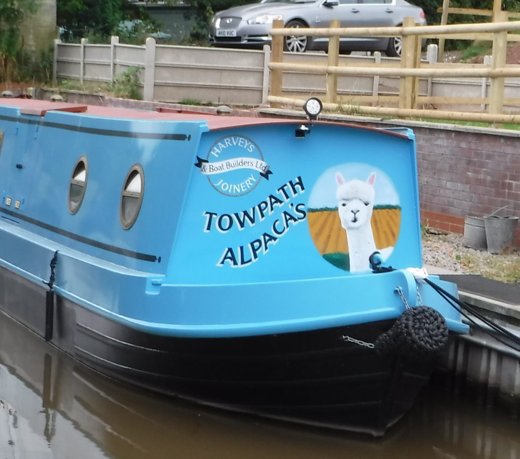 Boatbuilding and alpacas