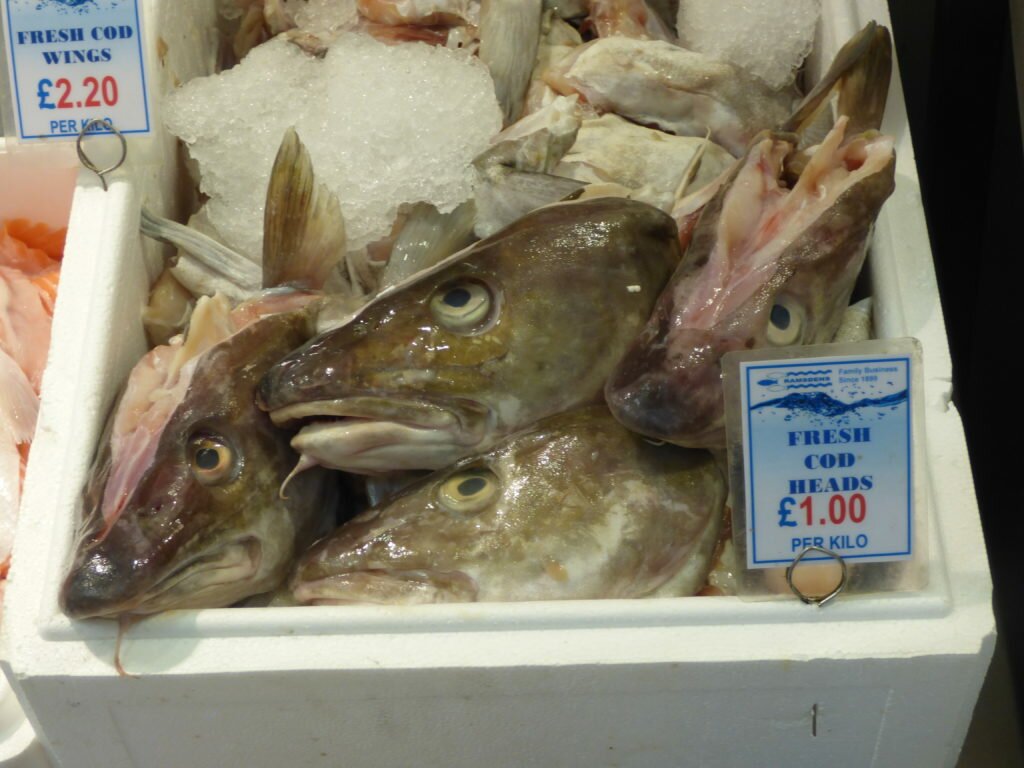 Fish Heads