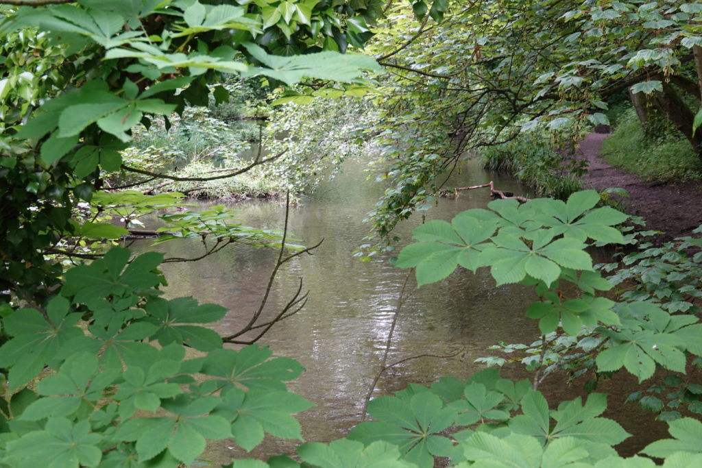 Cassiobury Park