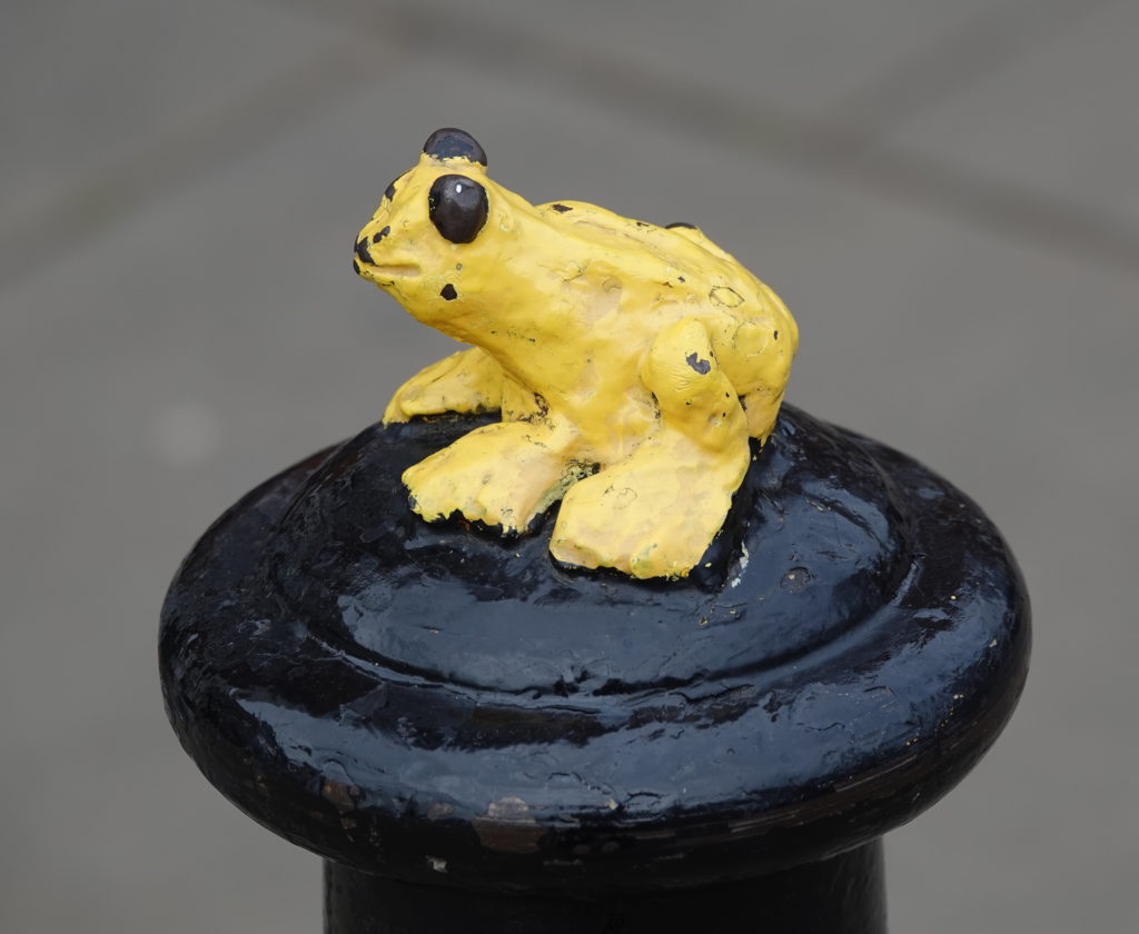 Yellow Frog