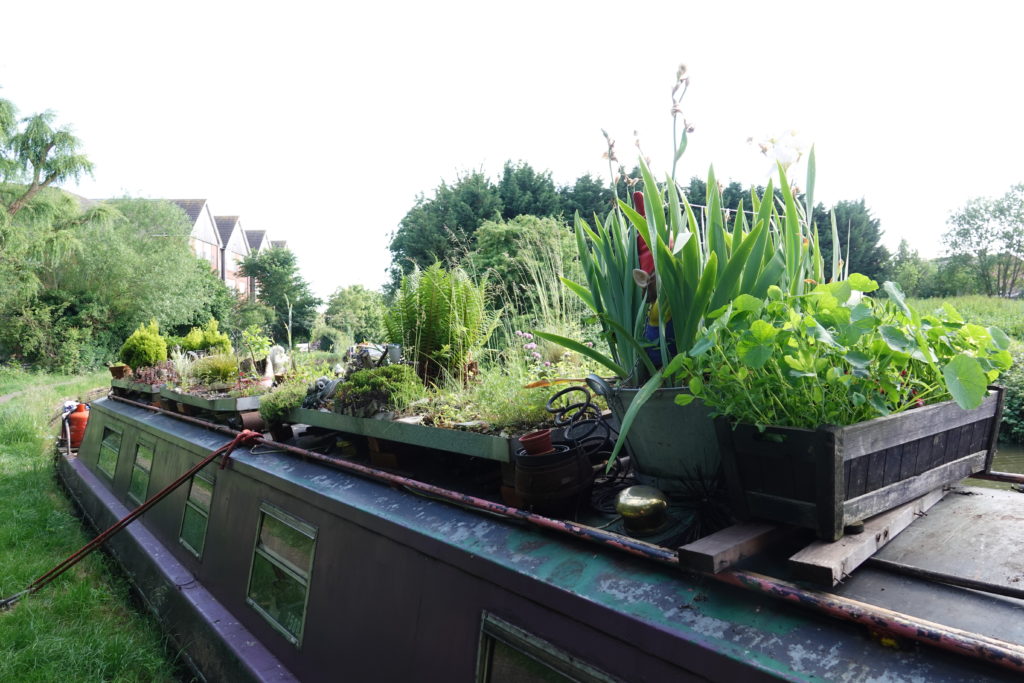 Roof Garden