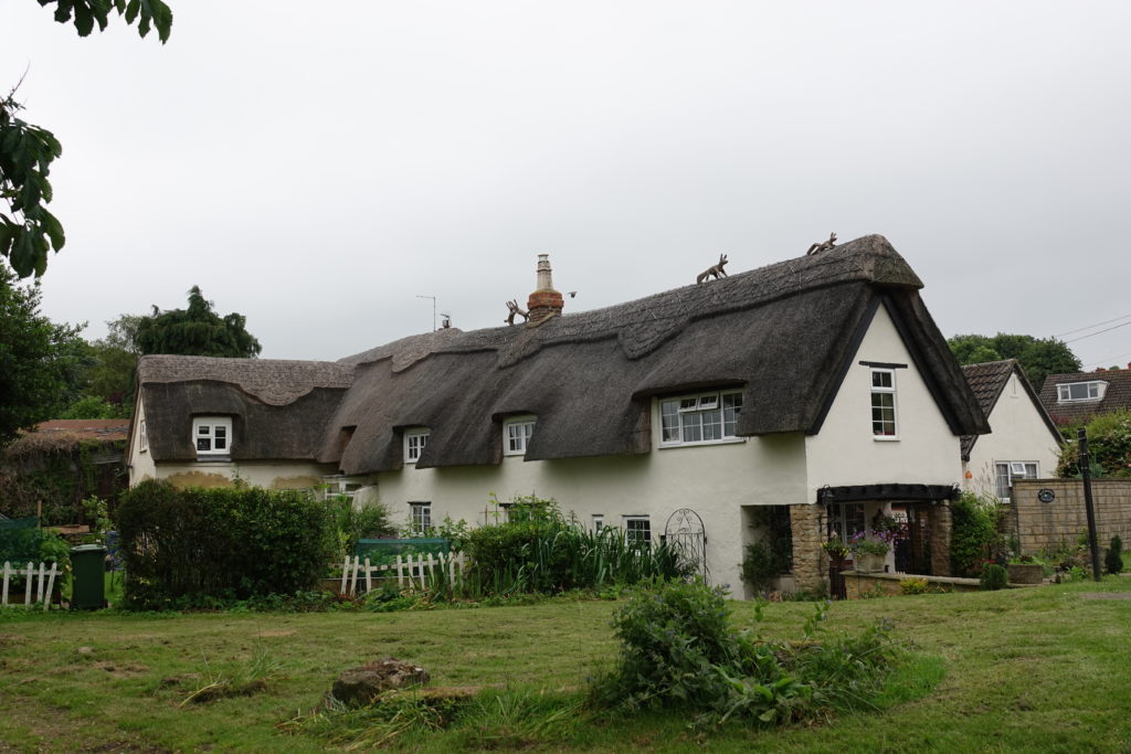 Thatched with animals