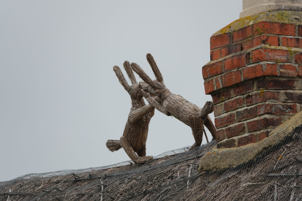 Boxing Hares