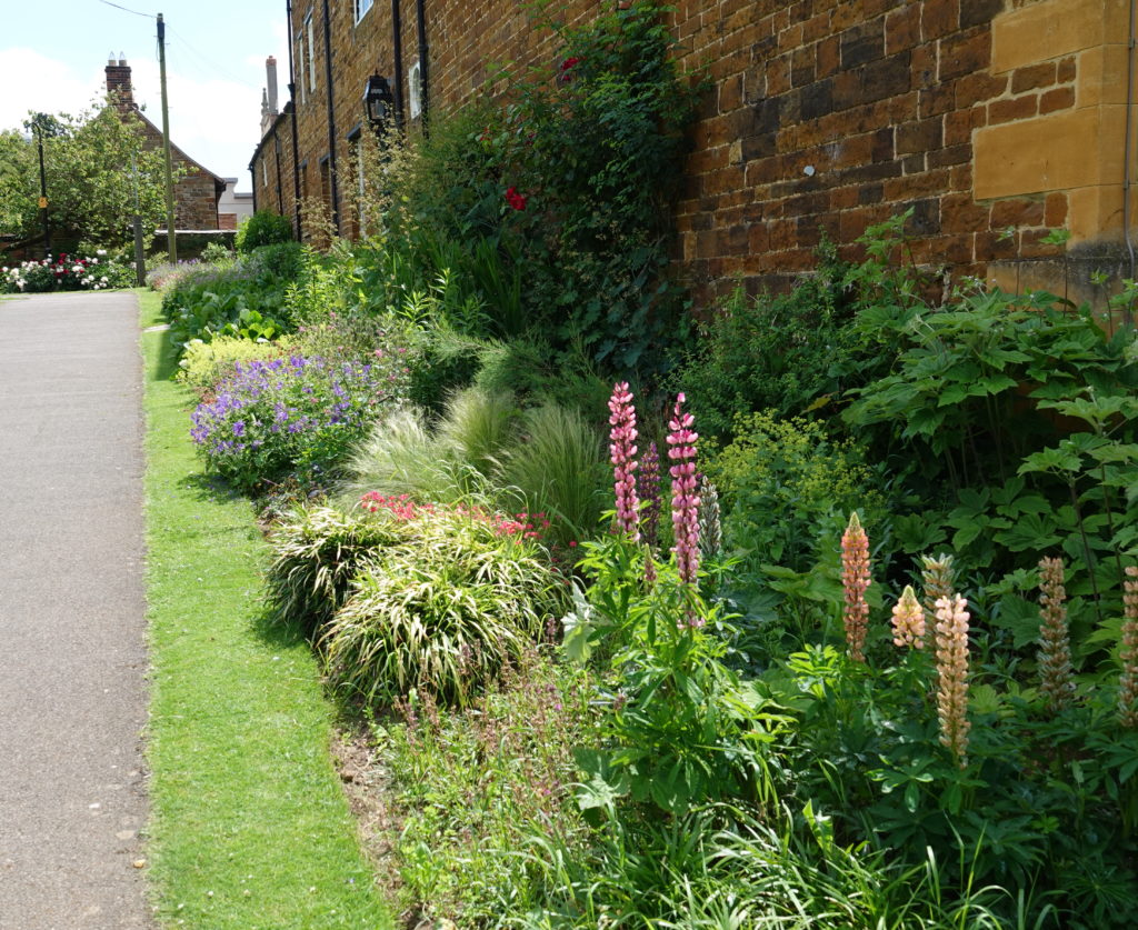 Flower Border