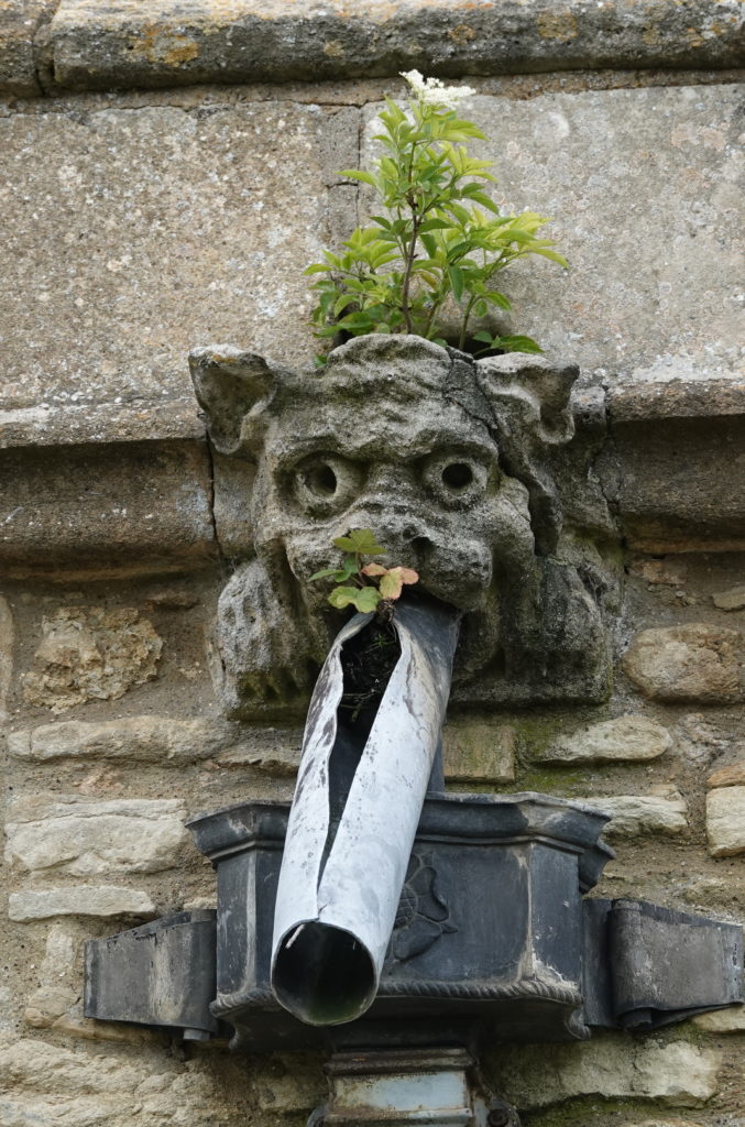 Gargoyle with hairdo