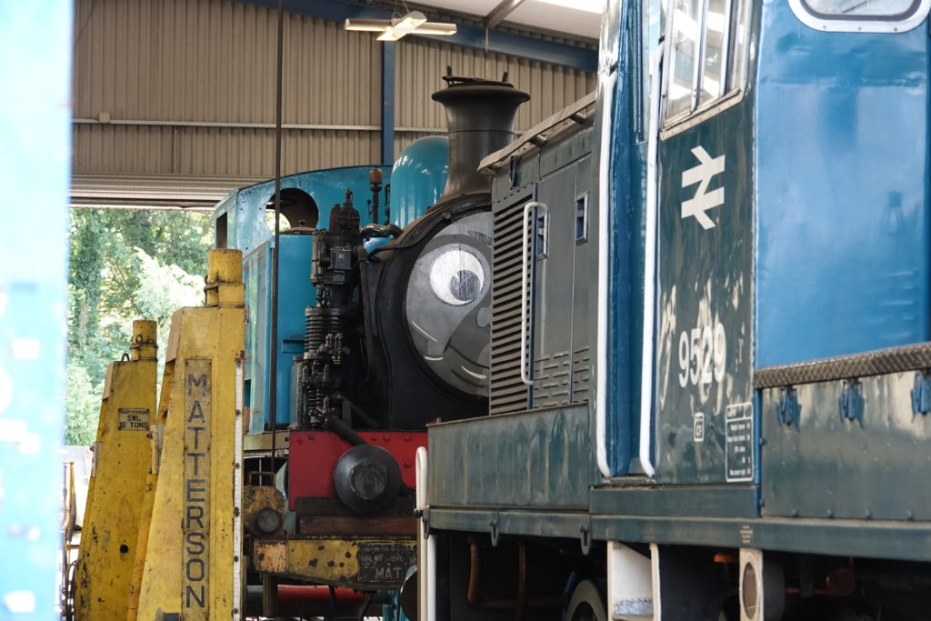 Thomas face