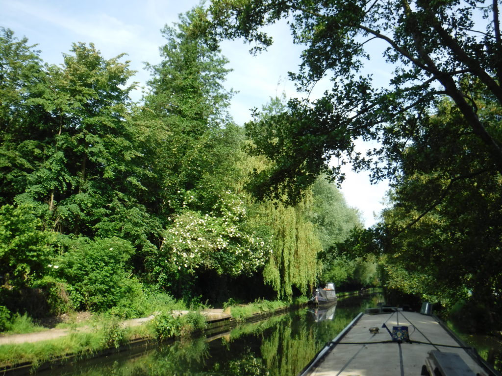 Canal weather