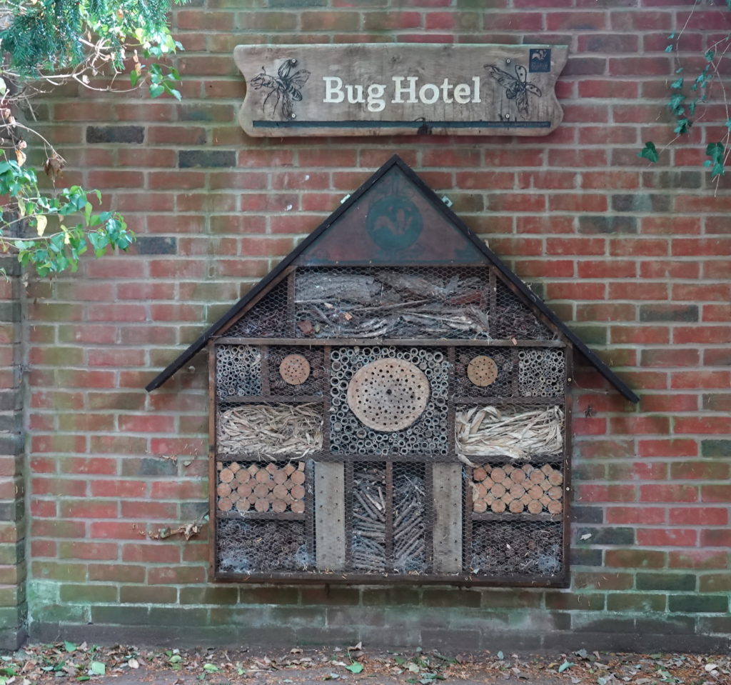 Bug hotel